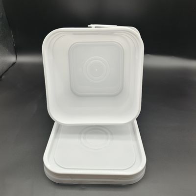 100% PP 2L 3L 5L 10L hình vuông thùng nhựa chống rơi in màn hình